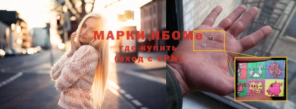 СК Алексин